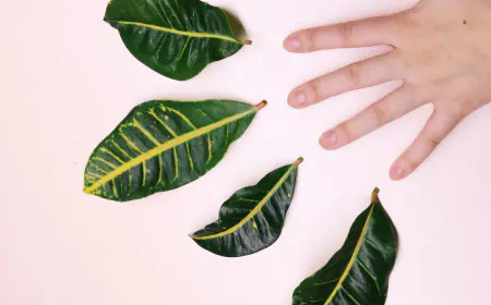 Biodiversity Conservation and Environmental Challenges