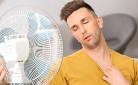 Heatwave Dangers: Understanding the Health Risks and Prevention