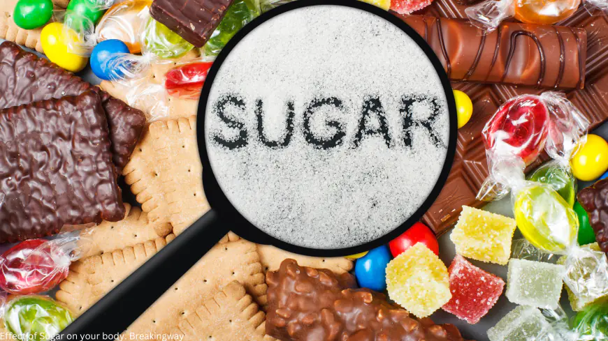 The Impact of Sugar on Blood Levels and the Role of the Pancreas: A Simple Guide