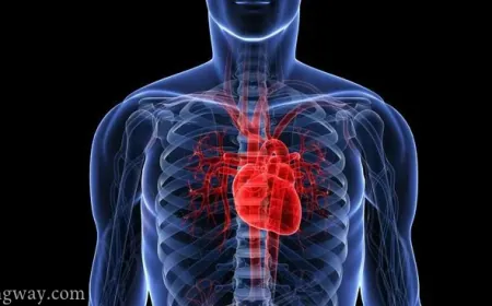 Cardiac Arrest: Understanding Causes, Risks, and Prevention
