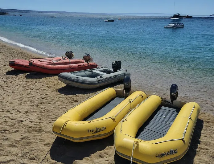 Extreme Weather Events: A New Normal or a Global Crisis?