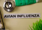 Avian Influenza (Bird Flu): Symptoms, Prevention, and Treatment Explained