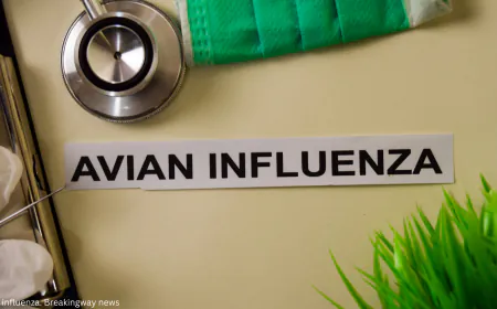 Avian Influenza (Bird Flu): Symptoms, Prevention, and Treatment Explained